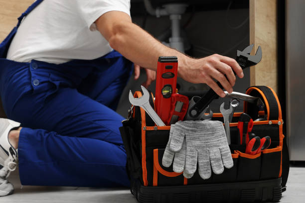 Best Clogged Drain Plumber  in Ellenville, NY